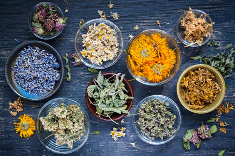 MYRIAMASSAGE :  : Massages & Plantes dans le Finistère 29 : Myriam PUJOL vous propose : Massage tête Shirotchampi, Massage pieds au Bol KANSU et conseils en plantes à mon cabinet, en résidences pour personnes âgées et en entreprises en Pays Bigouden et alentours.