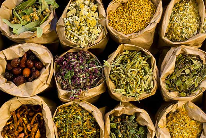 CONSEILS EN PLANTES - MYRIAMASSAGE dans le Finistère 29 : Chaque plante recèle, en elle, la ou les vertu(s) nécessaires à notre mieux-être. Myriam PUJOL sera vous conseiller ... Certaines, comme l’aswhagandha ou le rodhiola, ont un pouvoir adaptogène qui favorise la résistance au stress. Elles réagissent également chacune de manière différente à chaque organisme rencontré ce qui leur permet de répondre plus justement à la ou les probléma(que(s) de la personne. Je trouverai grâce à mes outils la forme la plus adaptée c’est-à-dire plantes ou extraits de plantes, fleurs de Bach ou Deva (équilibrage émotionnel), gemmothérapie (macérats de bourgeons d’arbres), mais aussi vitamines, sels minéraux et oligo-éléments.