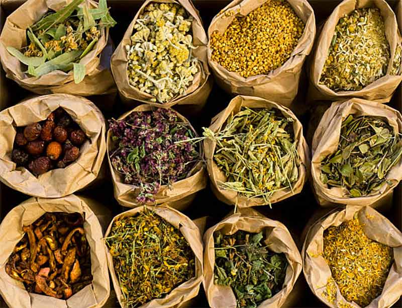 CONSEILS EN PLANTES - MYRIAMASSAGE dans le Finistère 29 : Chaque plante recèle, en elle, la ou les vertu(s) nécessaires à notre mieux-être. Myriam PUJOL sera vous conseiller ... Certaines, comme l’aswhagandha ou le rodhiola, ont un pouvoir adaptogène qui favorise la résistance au stress. Elles réagissent également chacune de manière différente à chaque organisme rencontré ce qui leur permet de répondre plus justement à la ou les probléma(que(s) de la personne. Je trouverai grâce à mes outils la forme la plus adaptée c’est-à-dire plantes ou extraits de plantes, fleurs de Bach ou Deva (équilibrage émotionnel), gemmothérapie (macérats de bourgeons d’arbres), mais aussi vitamines, sels minéraux et oligo-éléments.