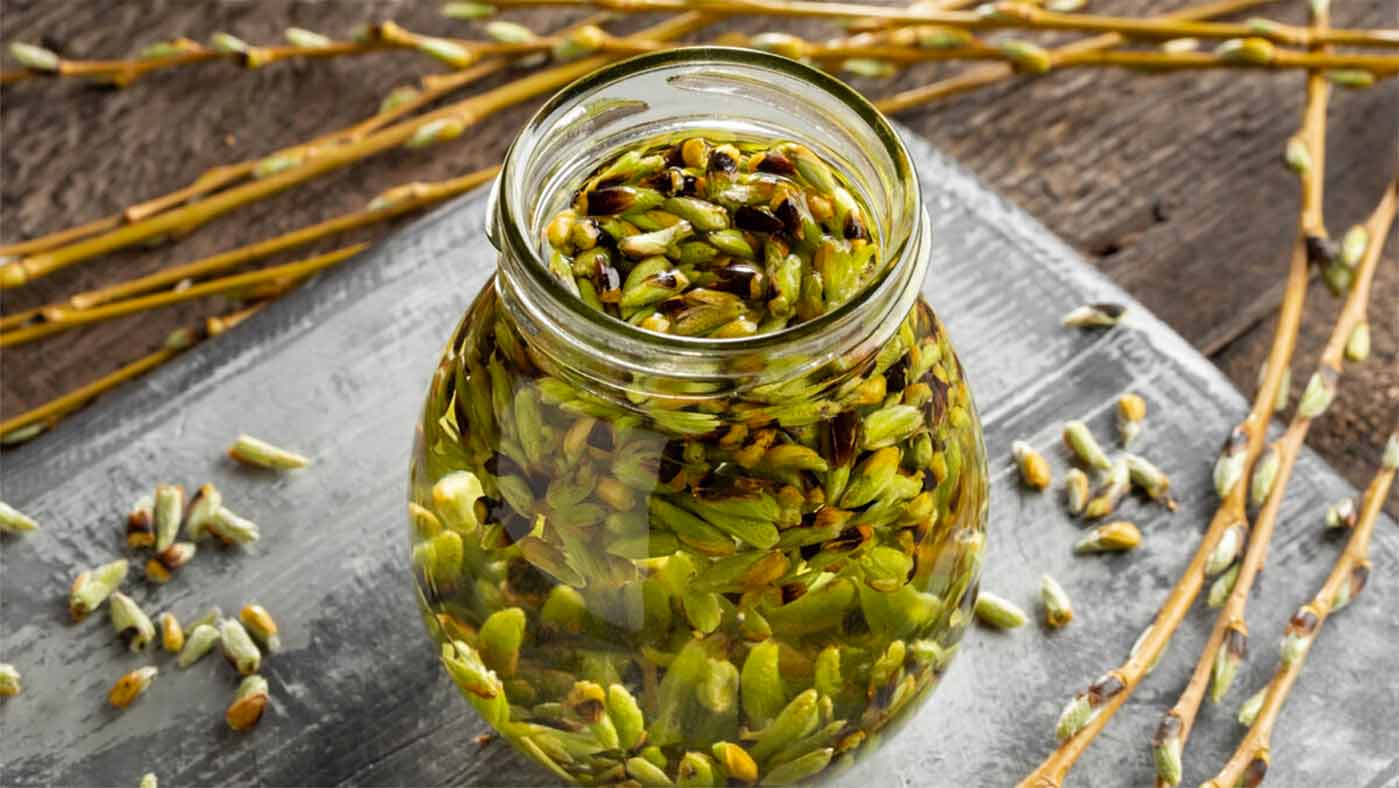 CONSEILS EN PLANTES - MYRIAMASSAGE dans le Finistère 29 : Chaque plante recèle, en elle, la ou les vertu(s) nécessaires à notre mieux-être. Myriam PUJOL sera vous conseiller ... Certaines, comme l’aswhagandha ou le rodhiola, ont un pouvoir adaptogène qui favorise la résistance au stress. Elles réagissent également chacune de manière différente à chaque organisme rencontré ce qui leur permet de répondre plus justement à la ou les probléma(que(s) de la personne. Je trouverai grâce à mes outils la forme la plus adaptée c’est-à-dire plantes ou extraits de plantes, fleurs de Bach ou Deva (équilibrage émotionnel), gemmothérapie (macérats de bourgeons d’arbres), mais aussi vitamines, sels minéraux et oligo-éléments.